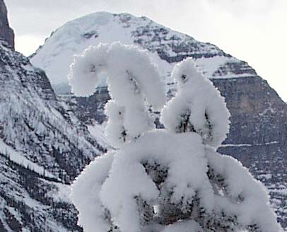 Lake Louise