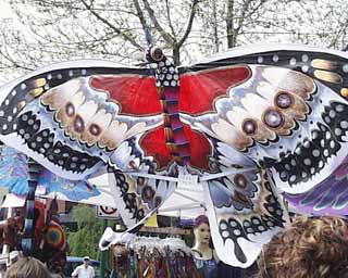 Lilac Festival