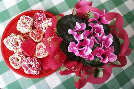Valentine's Day