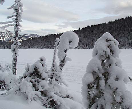 Lake Louise