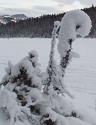 Lake Louise