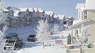 Bridlewood1